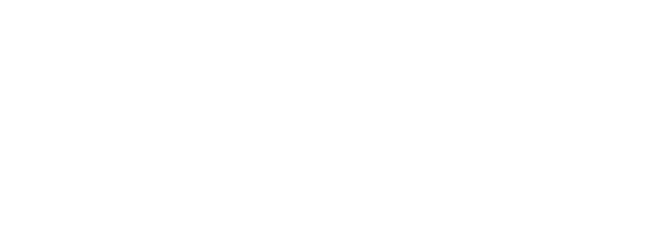 AVASIER SpA
